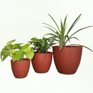 Terracotta Planter Set – Set of 3